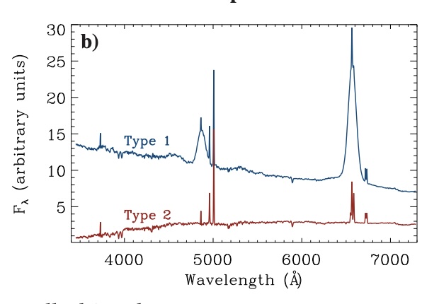 Changing-state AGN spectra showing broad emission lines changing over time